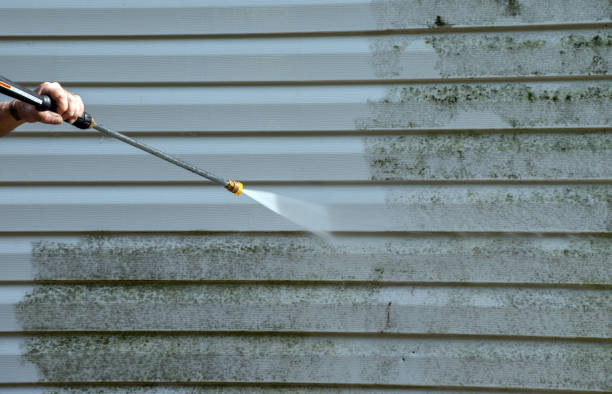 Best Toxic Mold Removal  in Harper, KS