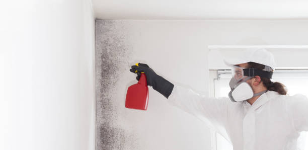 Mold Testing and Removal in Harper, KS