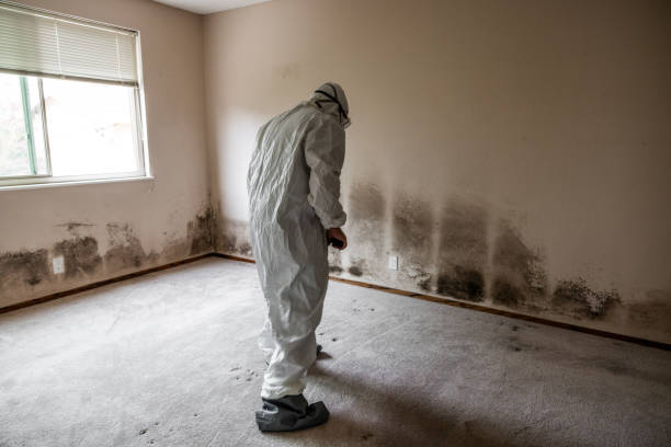 Best Mold Testing  in Harper, KS