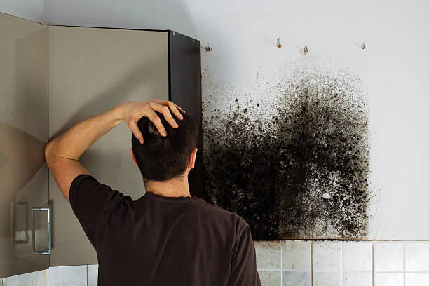 Best Crawl Space Mold Removal  in Harper, KS
